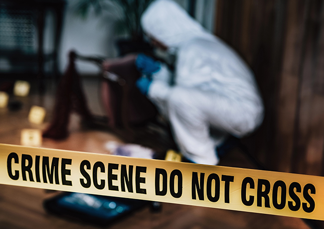 Explore The Forensic Series by Augustina Van Hoven